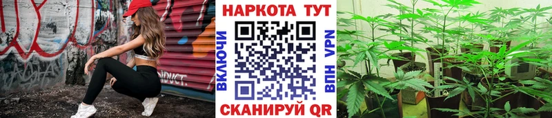 Купить закладку Зеленоградск Бошки Шишки  Метадон  ГАШИШ  A-PVP  МЕФ  COCAIN  Амфетамин 